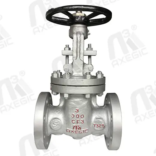 Globe valve manufacturer